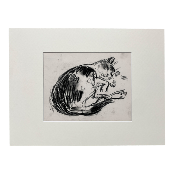 a charcoal drawing of sleeping cat by artist francis chapin 2808