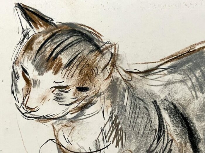 a mid century charcoal ink and pastel drawing of a cat by artist francis chapin 5232