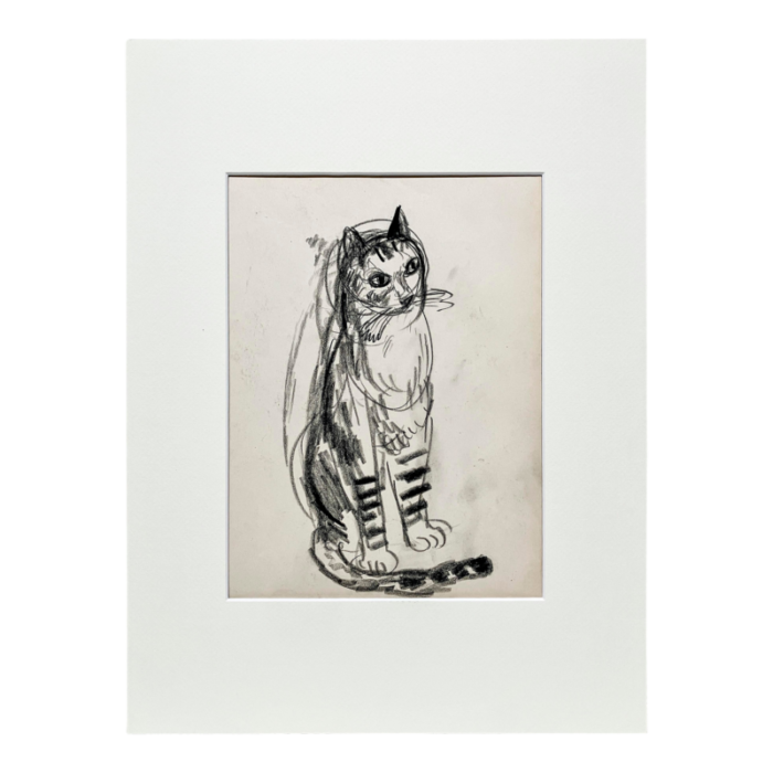 charcoal sketch of cat by artist francis chapin 6757