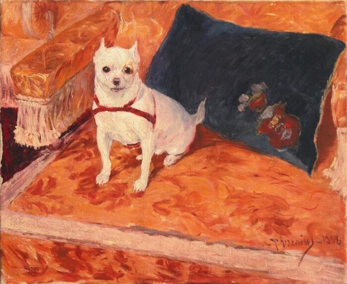 chihuahua on a velvet armchair by carl georg arsenius 1888 academie julian paris royal academy benezit 6893