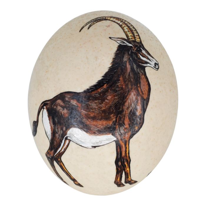 mid 20th century ostrich egg hand painted sable antelope on real ostrich eggshell africa 2335