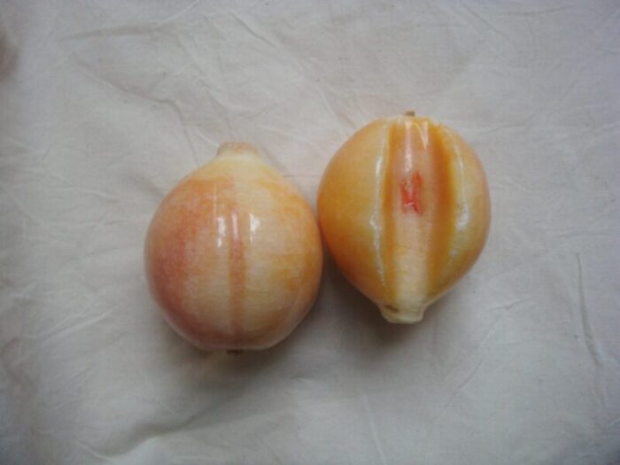 mid 20th century polished marble fruit set of 2 1034