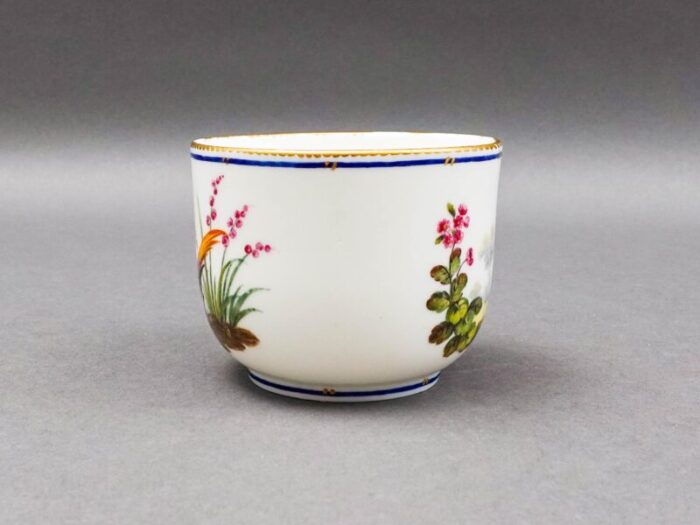 sevres francois joseph aloncle hand painted birds open sugar bowl cup circa 1772 2631