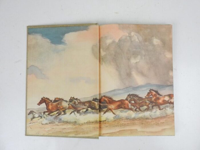 the red pony by john steinbeck book 8229