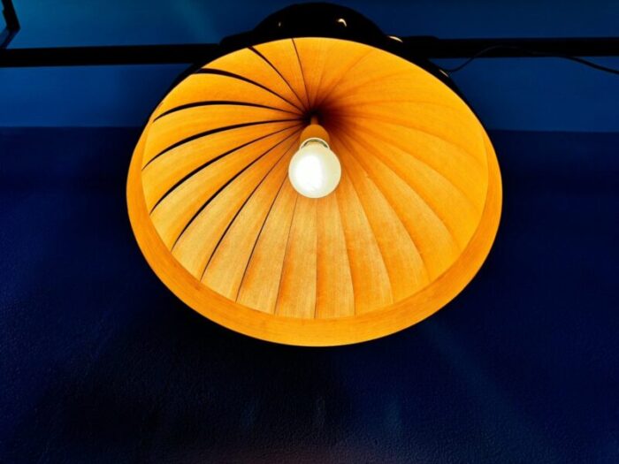 vintage hanging lamp by hans agne jakobsson for ellysett 1960s 6 1